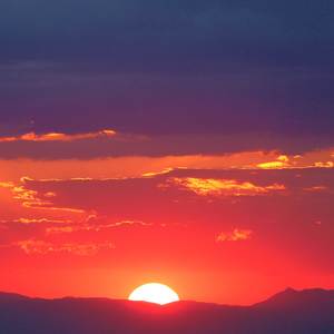 COMING BACK (Explicit)