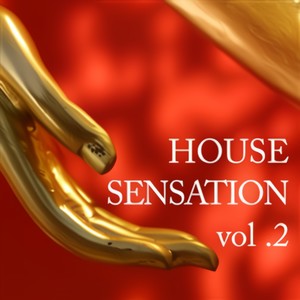 House Sensation 2