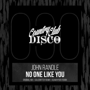 No One Like You (Adam Hyjek Remix)