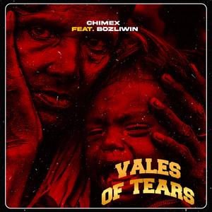 VOT (VALES OF TEARS) (feat. Bozliwin)