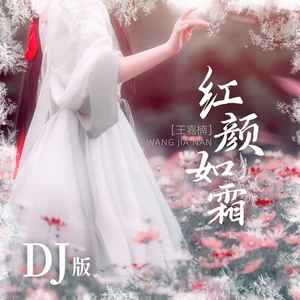 红颜如霜 (DJ版)