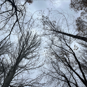 雨还是不停地落下 - 阿李封面