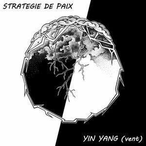 Sous une pluie d'étoiles(Yang)