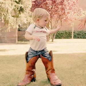 Como un perro sin su Amor