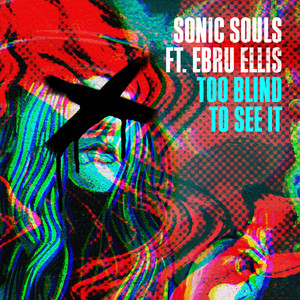 Too Blind To See It (feat. Ebru Ellis)