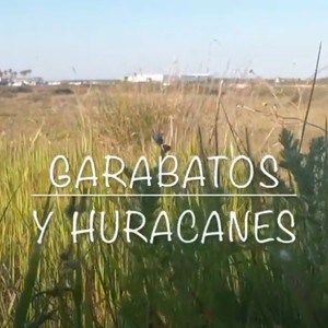 Garabatos y huracanes (feat. Mulah & Pepe López) (Explicit)
