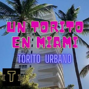 UN TORITO EN MIAMI (Freestyle)