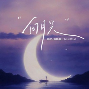 向月光