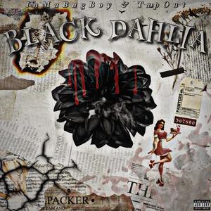 Black Dahlia (feat. TapOut) [Explicit]