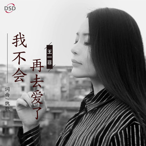 我不会再去爱了