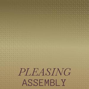 Pleasing Assembly