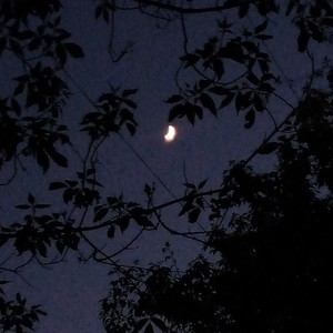 Alone (Prod. By AyoPious, Q-wing) (Explicit)