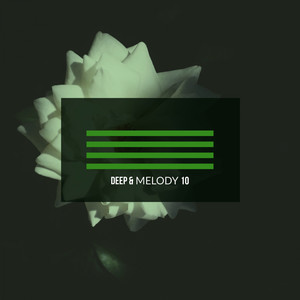 shell (Original Mix)