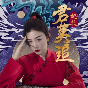 君莫追 (DJ伟然版)封面