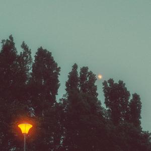 Kam ty lidi jdou (feat. Shizzle)