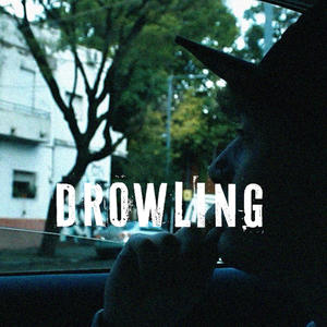 Drowling (feat. Franle)