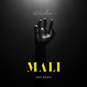 Mali (Official Remix)