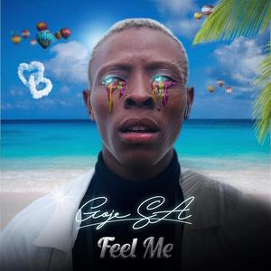 feel me (feat. Nkuli & Macguitarsa)