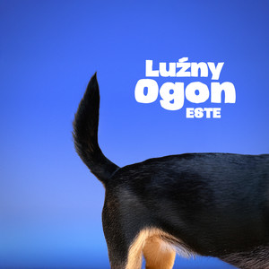 Luźny Ogon (Explicit)