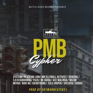 PMB Cypher (feat. System, Peace da lion, Mr CLLYBULL The Activist, S.O.N Gubhubhu, Nozar miyar, General, Ace Malinga, Specifik, BK Igoqa, Zulu sniper, Sgodo, Pazo & Bigk No.1 Skhothane) (Explicit)