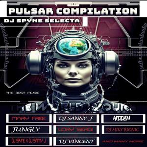 Pulsar Compilation Dj Spyne Selecta