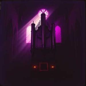 Dance of the Veiled Shadows