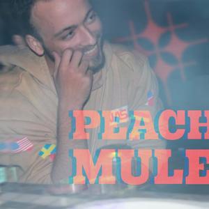 Peach Mule