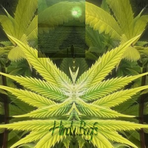 Hindu Boofs (Explicit)