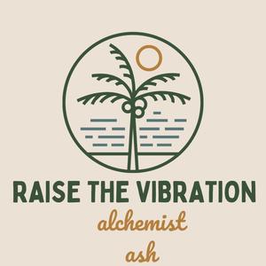 Raise The Vibration (The Soul Frequency Remix) [Explicit]