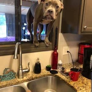 What You Sayin (Explicit)