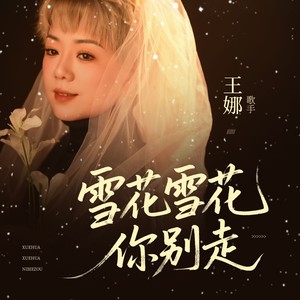 雪花雪花你别走