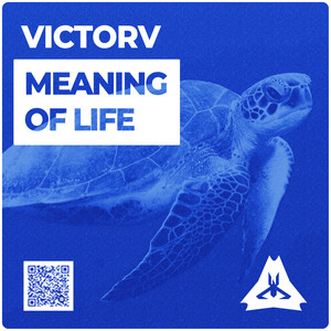 Meaning Of Life (Original Mix)