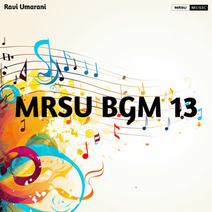 MRSU BGM 13