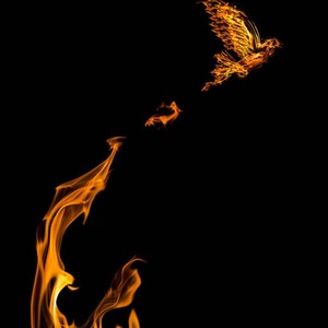 Soul Ties(feat. Brandoe) (Radio Edit|Explicit)