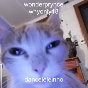 Danceleleinho (Slowed)
