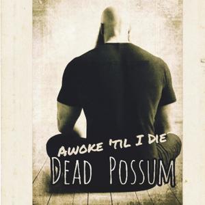 Awoke 'til I Die (feat. Da Possum AssMasterz) [Explicit]