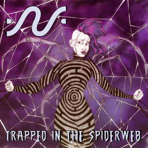 Trapped in the Spiderweb