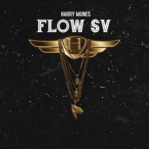 Flow SV