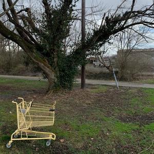 Sometimes(I feel) (Live)