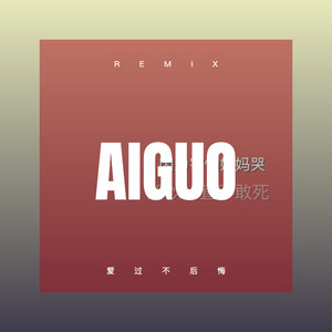 今生只为遇见你 (DJ版)