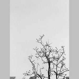 山城
