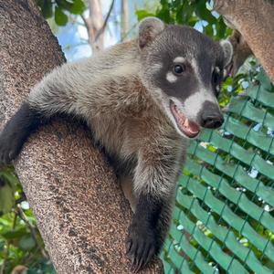 TGIF (feat. Jon Jon Foster) (Bronski Beat - Orchestral Version)