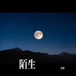 苏懂 - 陌生