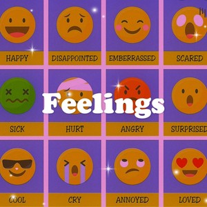 Feelings