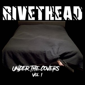 Under the Covers, Vol. 1 (Explicit)