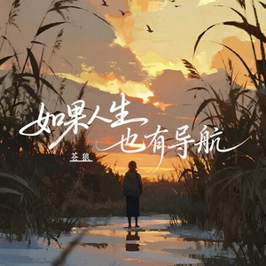 如果人生也有导航