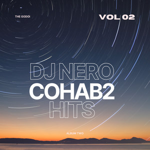 Cohab2 Hits, Vol. 2