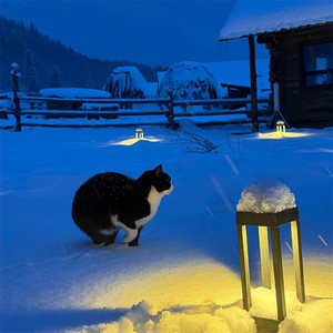 FreeLucky +go girl（北纬67度以北的雪）