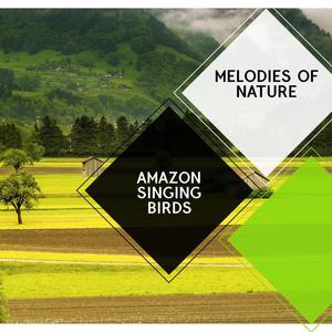 Amazon Singing Birds - Melodies of Nature