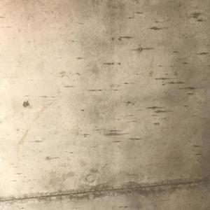 Lookin Ass (Explicit)